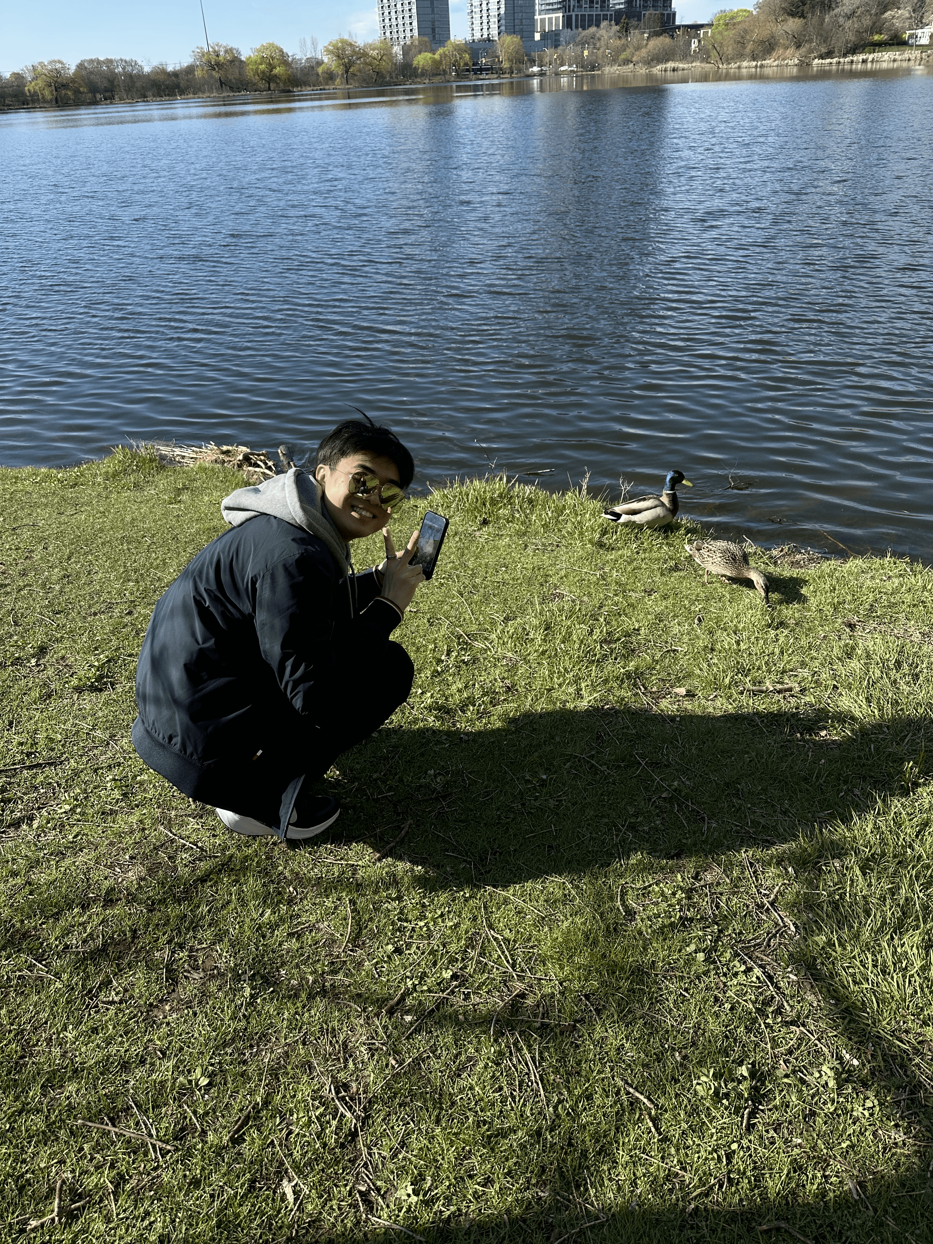 Ducks